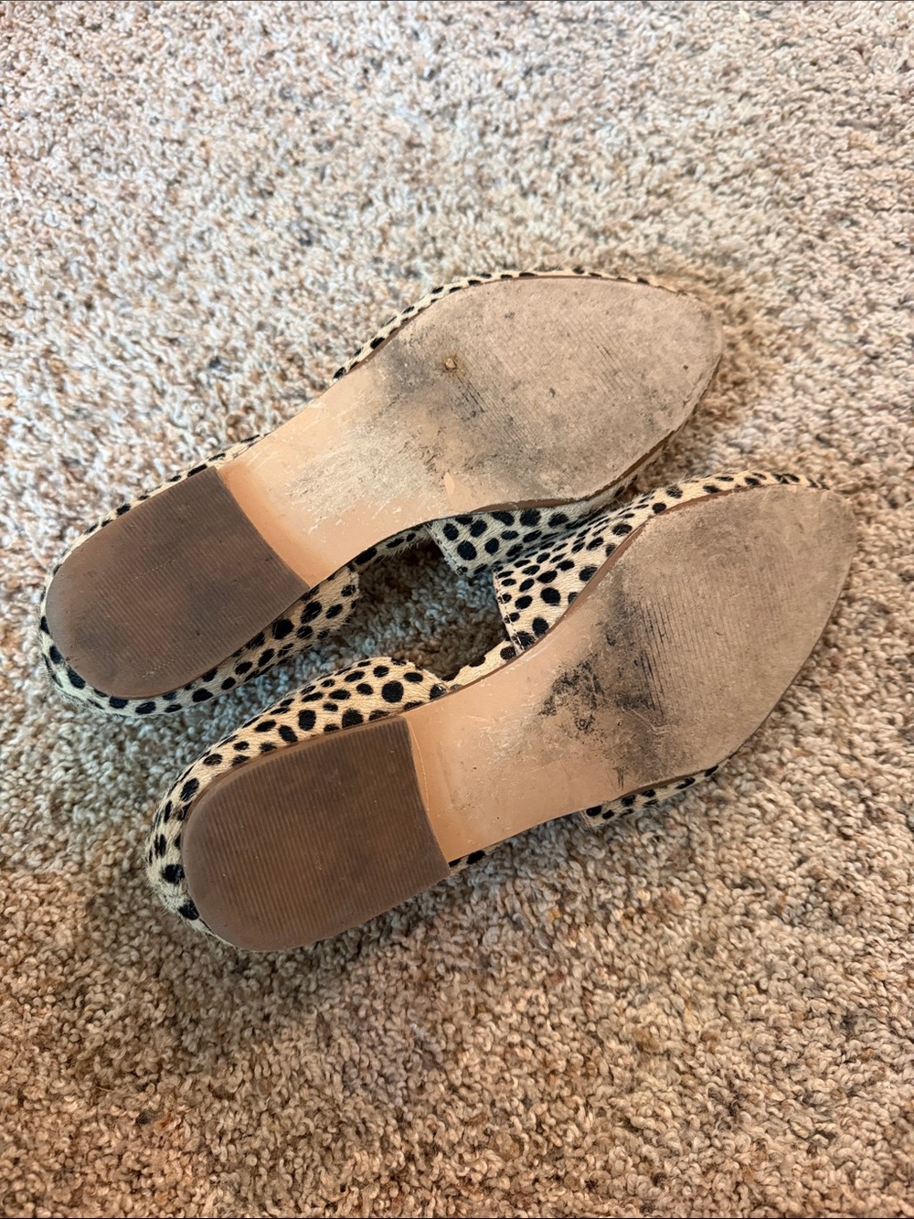 Steve Madden Leopard-Print Slip-On Flats - Black & Cream - Picture 3 of 6